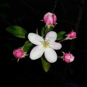 Meet your Posher, Jana